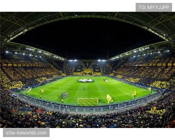 多特蒙德计划耗资1500万欧元建设多功能体育馆